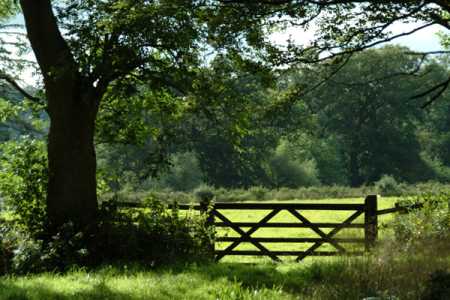 Entrance To Real Community Life